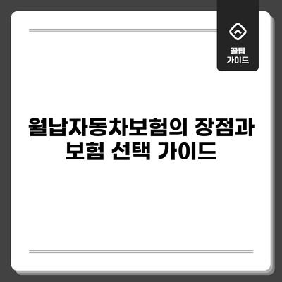 월납자동차보험의 장점과 보험 선택 가이드