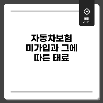 자동차보험 미가입과 그에 따른 태료